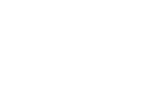 solargy e-mobility