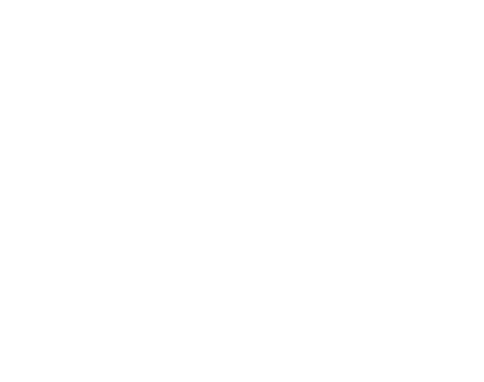 solargy Renewable